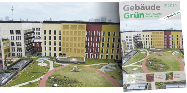 GebäudeGrün 2/2019 - Forschungsprojekt zur Regenwasserbewirtschaftung // Klimaextreme und deren Auswirkungen // Licht in der Innenraumbegrünung