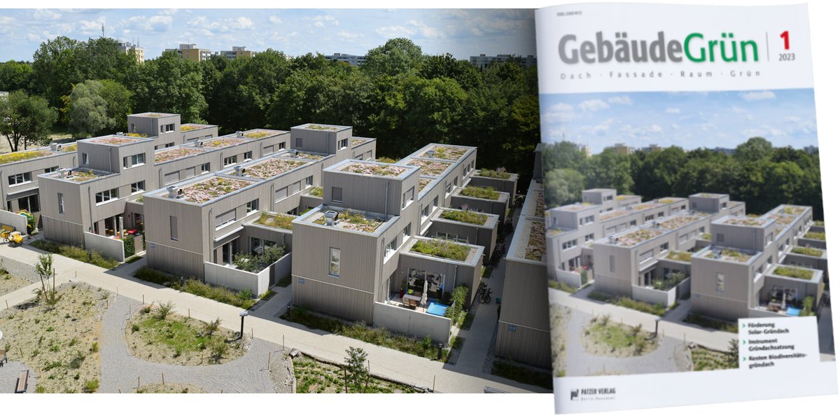 GebäudeGrün 1/2023 - Förderung Solar-Gründach // Instrument Gründachsatzung // Kosten Biodiversitätsgründach