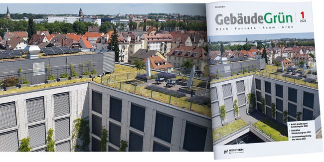 GebäudeGrün 1/2022 - BuGG-Marktreport Gebäudegrün 2021 // Rückblick Bundeskongress 2021 // Innenraumbegrünung des Jahres 2021
